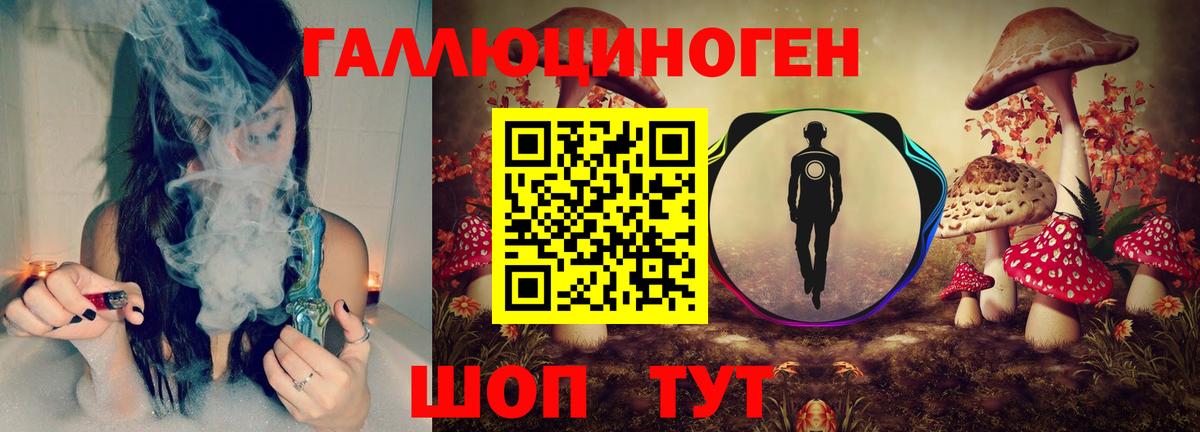 Галлюциногенные грибы Cubensis  где продают   Ангарск  Вход с VPN 