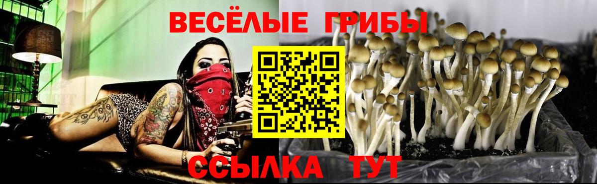 Псилоцибиновые грибы прущие грибы Ангарск